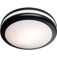 Firstlight Style Anti-Corrosion Style Ceiling Light in Black and Opal